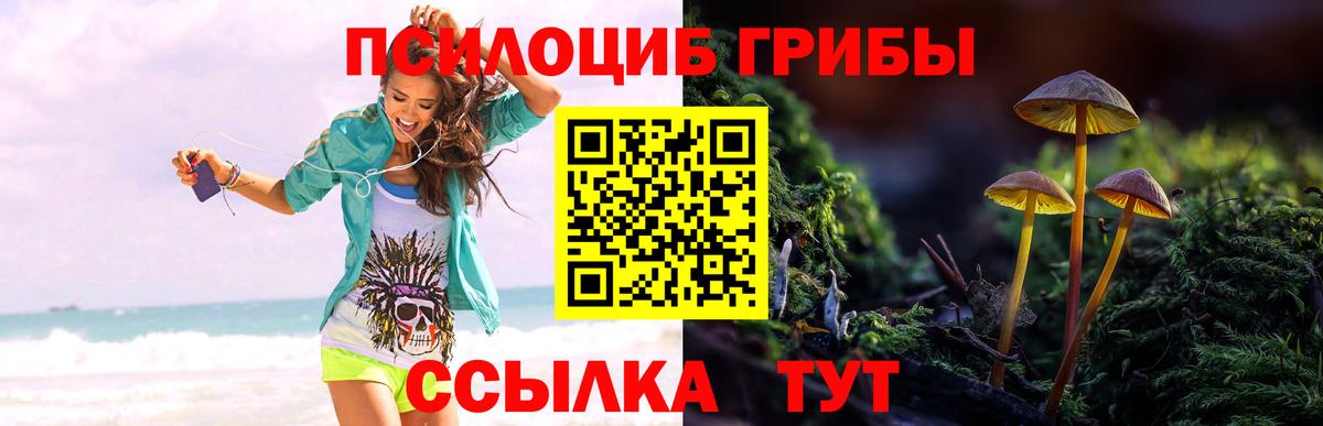 Чебаркуль  Галлюциногенные грибы мицелий  Вход с VPN 